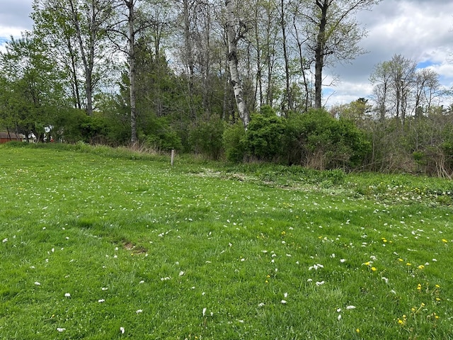 146 Academy St, Genesee, PA 16923 - view of green lawn