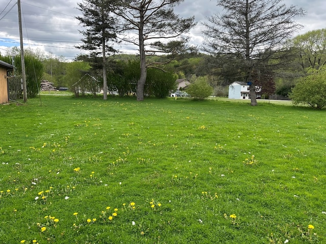 146 Academy St, Genesee, PA 16923 - view of grassy yard