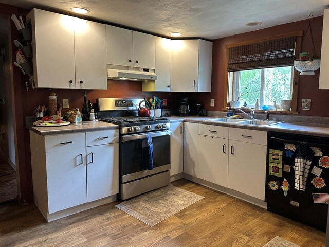 146 Academy St, Genesee, PA 16923 - kitchen featuring gas range, under cabinet range hood, dishwasher, a sink, and light wood finished floors