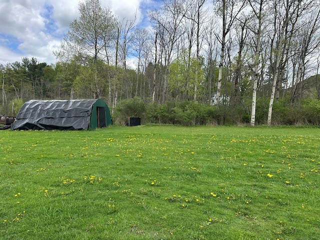146 Academy St, Genesee, PA 16923 - view of grassy yard with a storage unit and an outdoor structure