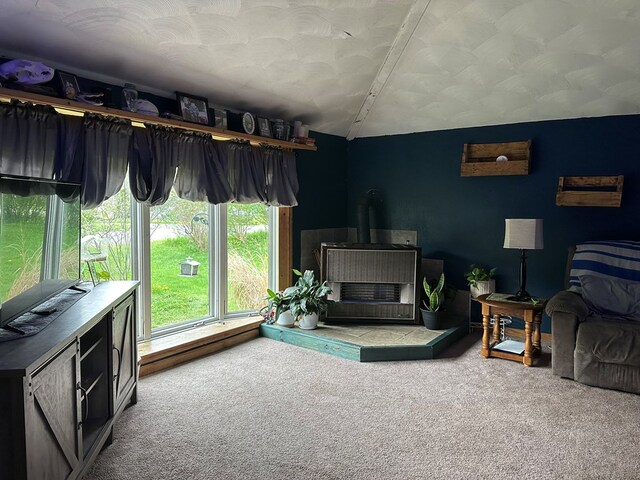 146 Academy St, Genesee, PA 16923 - carpeted living area featuring a wood stove and lofted ceiling