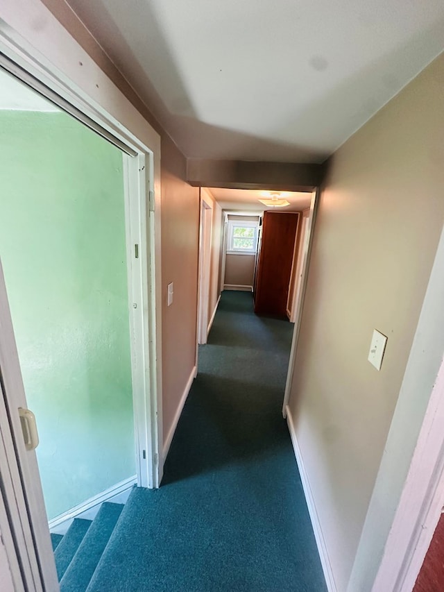 451 Waverly St, Waverly, NY 14892 - photo 28
