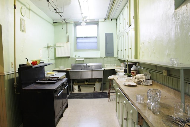 kitchen with sink and electric panel