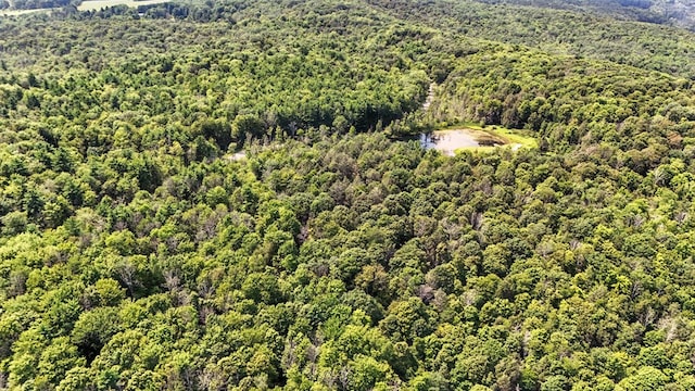 768 Washburn Rd, Spencer, NY 14883 - photo 32
