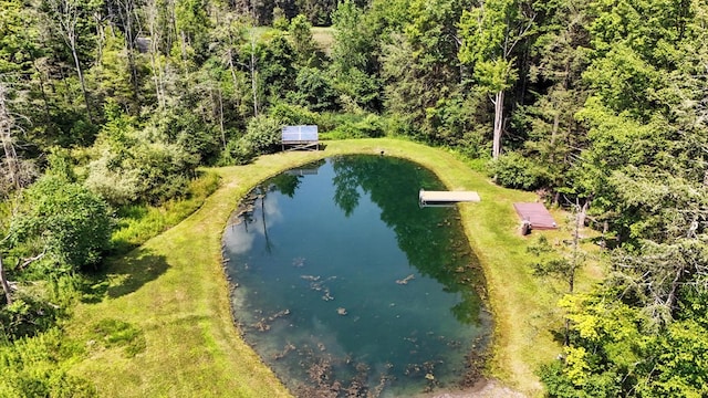 768 Washburn Rd, Spencer, NY 14883 - photo 4