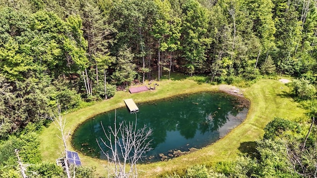 768 Washburn Rd, Spencer, NY 14883 - photo 33