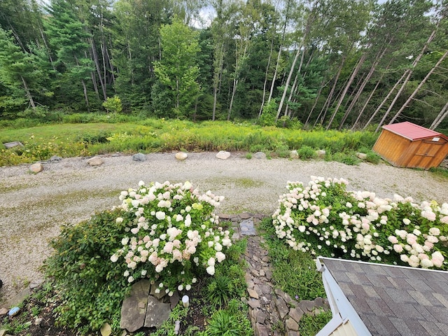 view of yard with a storage unit