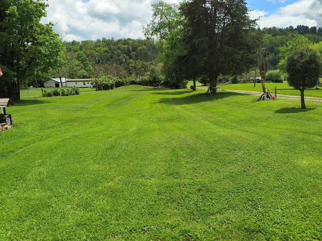 2756 Austinville Rd, Troy, PA 16947 - view of green lawn