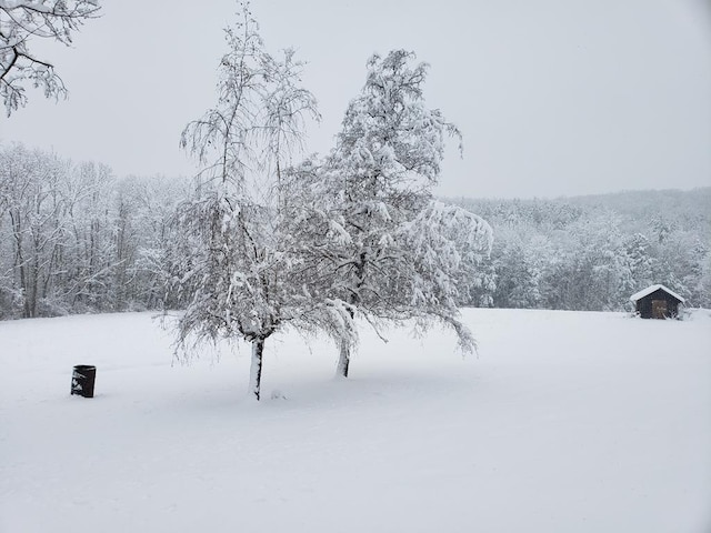 1503 Stewart Rd, Addison, NY 14801 - yard covered in snow featuring a forest view