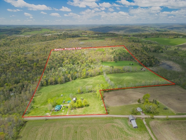 1503 Stewart Rd, Addison, NY 14801 - view of property location with property boundaries highlighted and a heavily wooded area