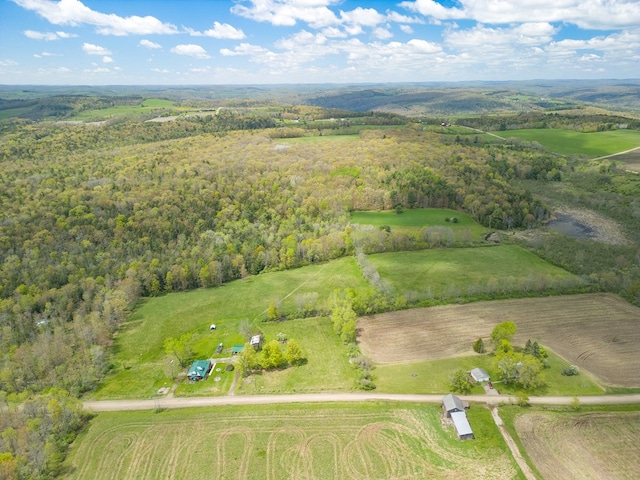 1503 Stewart Rd, Addison, NY 14801 - aerial view of property and surrounding area featuring a forest