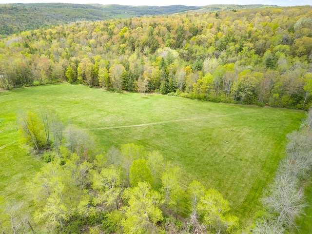 1503 Stewart Rd, Addison, NY 14801 - drone / aerial view of a forest