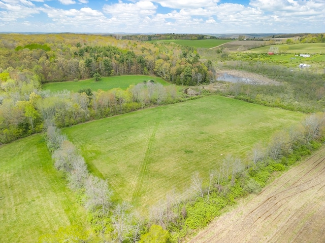 1503 Stewart Rd, Addison, NY 14801 - bird's eye view of a large body of water