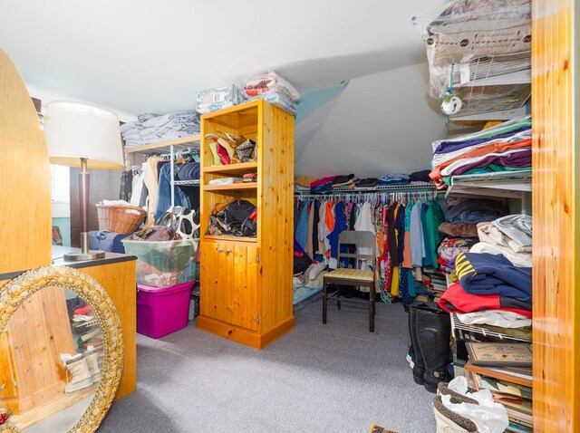 1503 Stewart Rd, Addison, NY 14801 - spacious closet with carpet floors