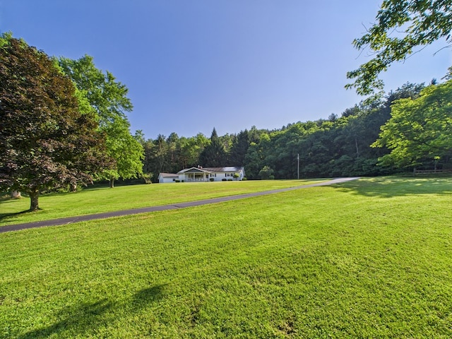 1041 Rte 44, Shinglehouse, PA 16748 - view of grassy yard featuring a wooded view