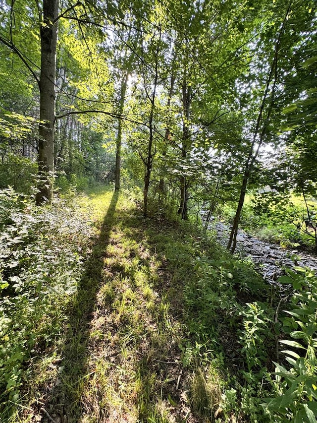 1041 Rte 44, Shinglehouse, PA 16748 - view of local wilderness