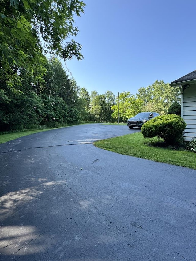 1041 Rte 44, Shinglehouse, PA 16748 - view of street