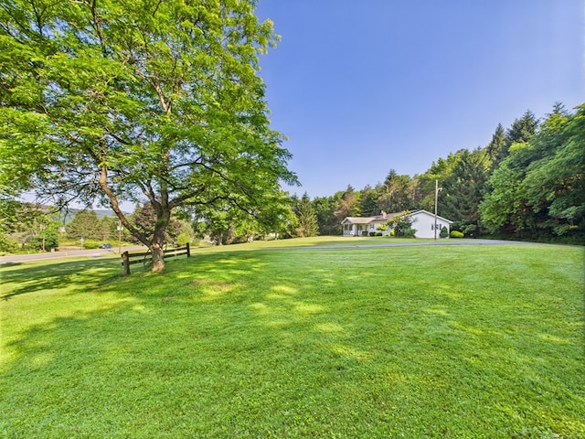 1041 Rte 44, Shinglehouse, PA 16748 - view of green lawn