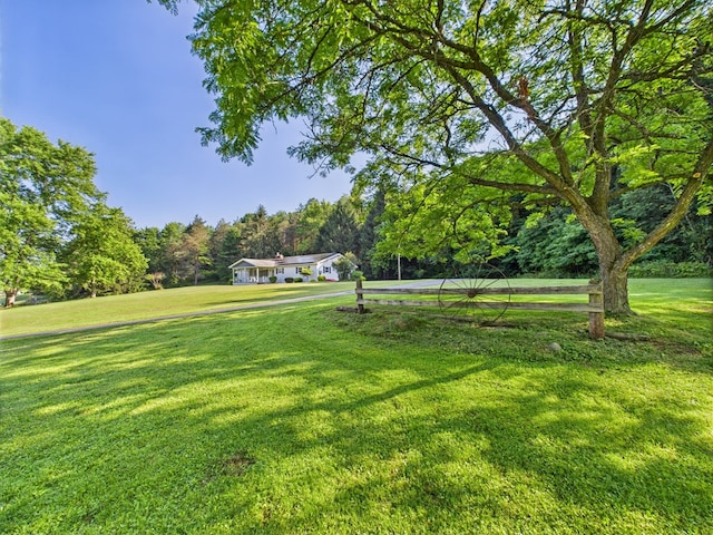 1041 Rte 44, Shinglehouse, PA 16748 - view of grassy yard