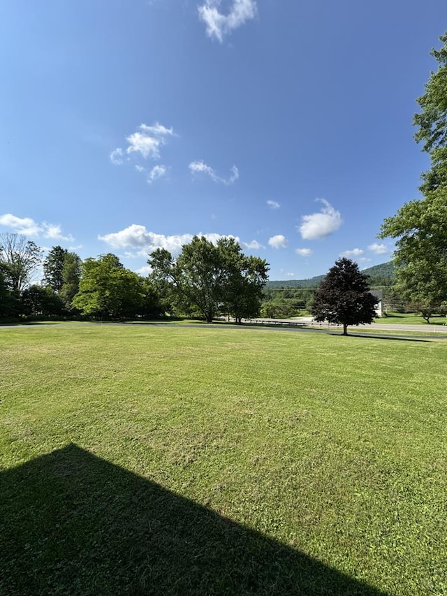 1041 Rte 44, Shinglehouse, PA 16748 - view of green lawn