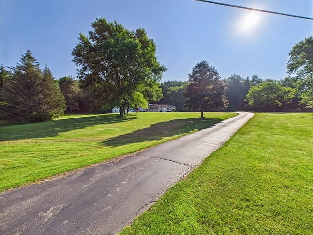 1041 Rte 44, Shinglehouse, PA 16748 - view of property's community featuring a yard