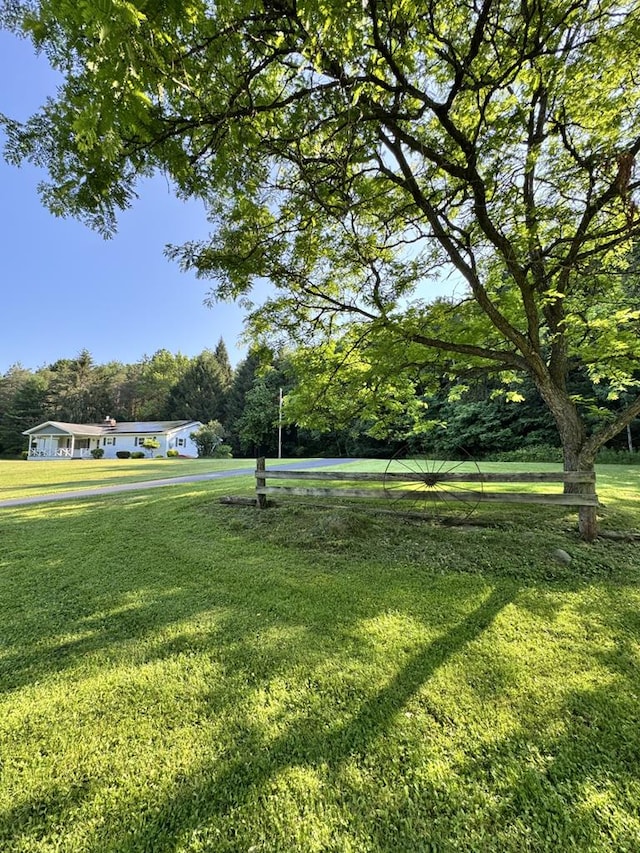 1041 Rte 44, Shinglehouse, PA 16748 - view of green lawn