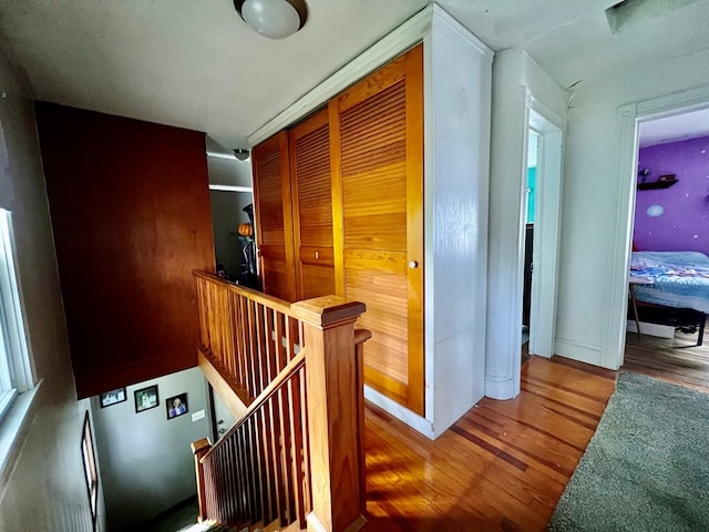 hallway with wood-type flooring