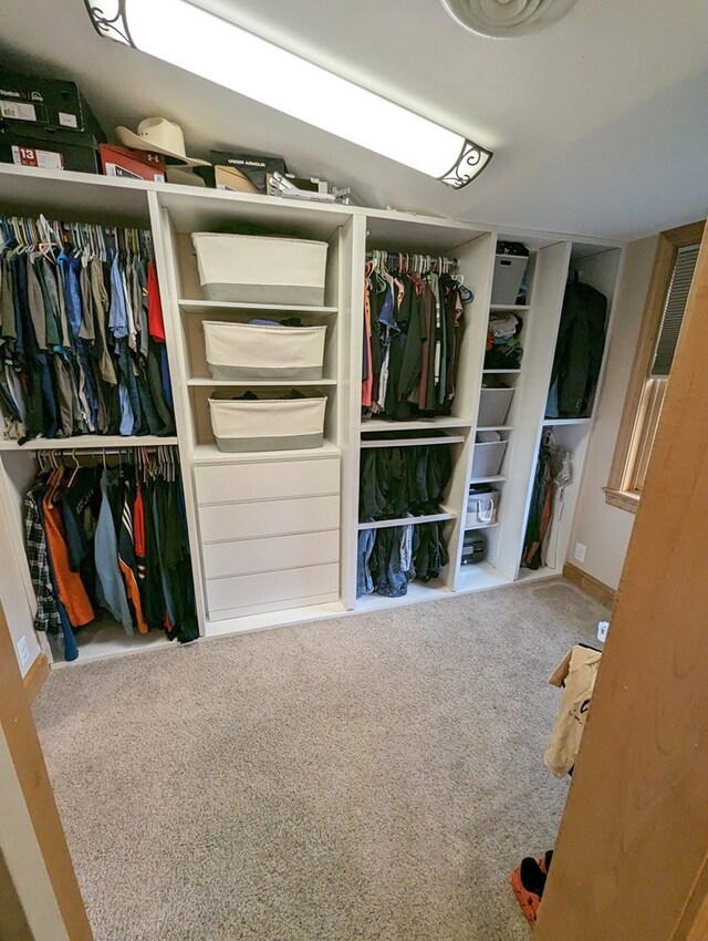 walk in closet with carpet flooring