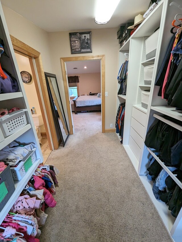 walk in closet featuring carpet floors