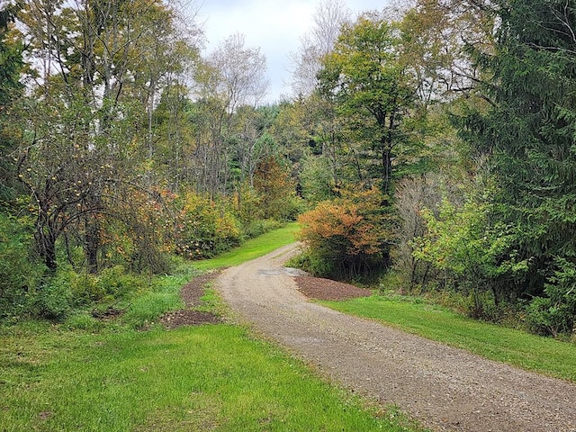 view of road