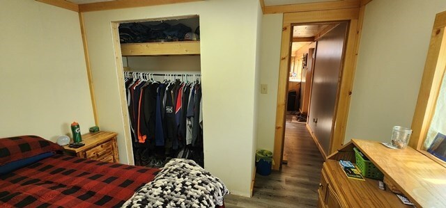 bedroom featuring a closet and dark wood-type flooring