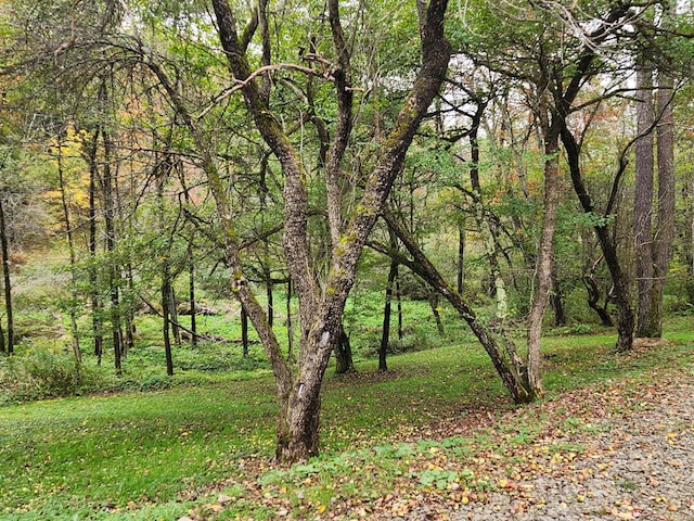 view of landscape