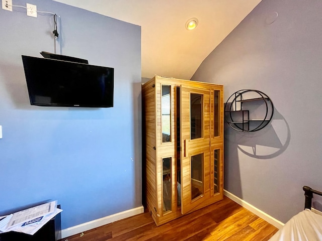 interior space featuring vaulted ceiling and hardwood / wood-style flooring