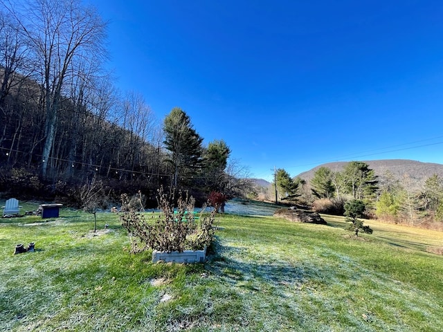 view of yard with a mountain view