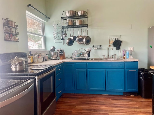 kitchen featuring sink, appliances with stainless steel finishes, blue cabinets, and dark hardwood / wood-style floors