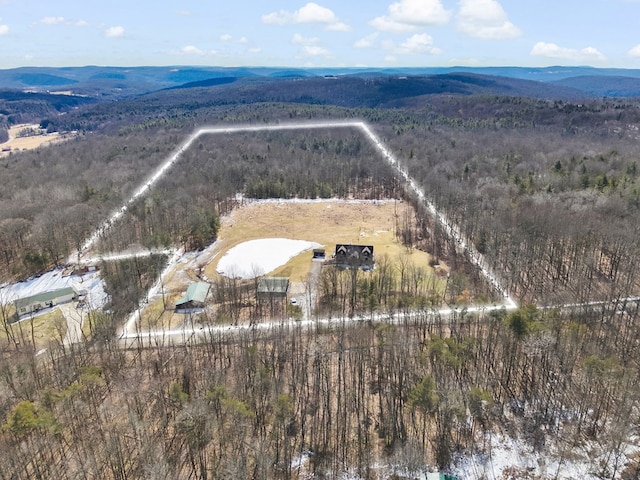 aerial view with a mountain view and a rural view