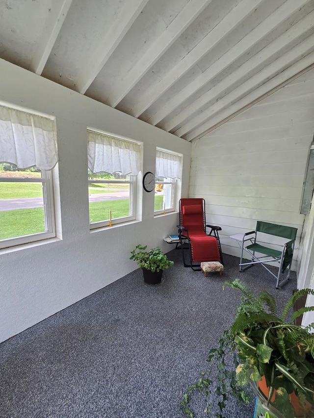 258 Pleasant Stream Rd, Trout Run, PA 17701 - view of sunroom
