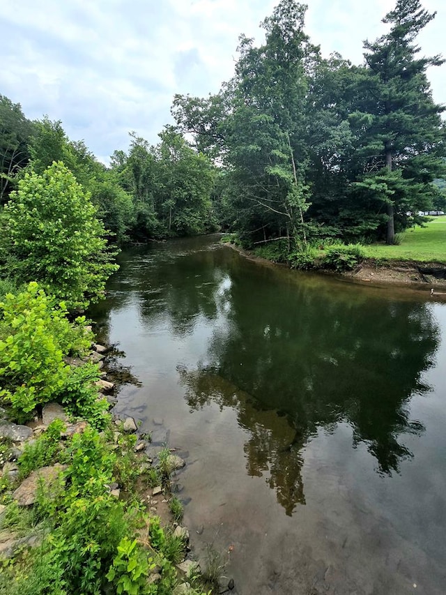 258 Pleasant Stream Rd, Trout Run, PA 17701 - water view