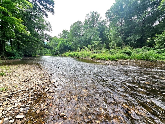 258 Pleasant Stream Rd, Trout Run, PA 17701 - water view