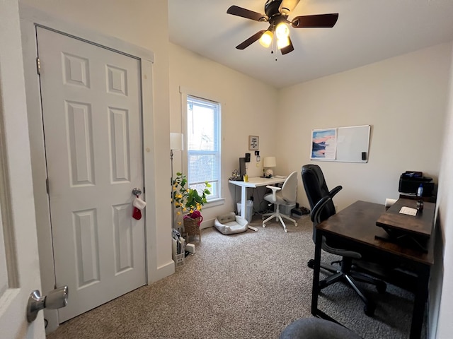 home office with ceiling fan and carpet flooring