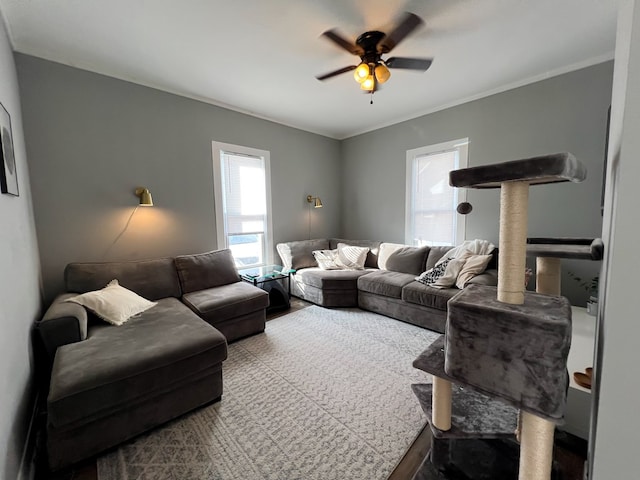 living room with ornamental molding and ceiling fan