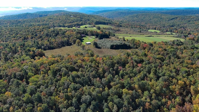 bird's eye view featuring a mountain view