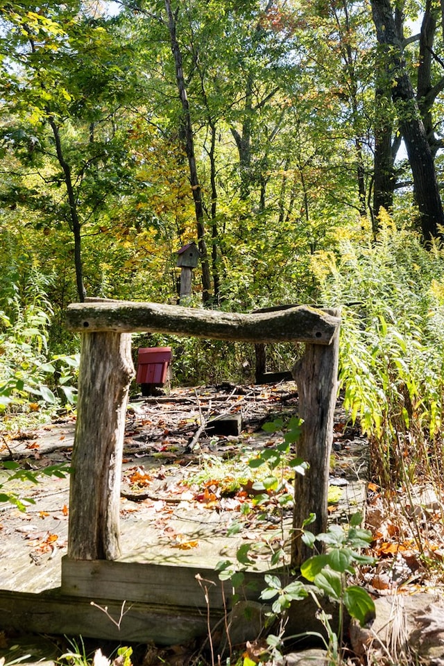 view of local wilderness