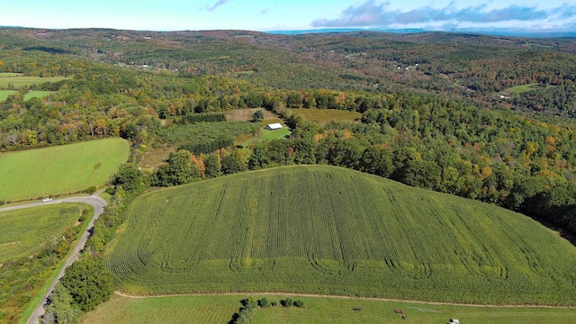 drone / aerial view featuring a mountain view