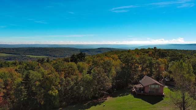 drone / aerial view featuring a mountain view