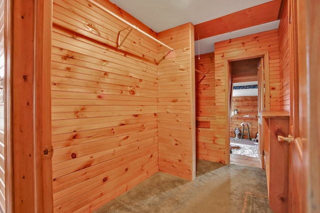 157 Shelmire Rd, Wellsboro, PA 16901 - interior space with carpet and wooden walls