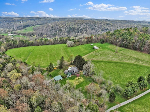 157 Shelmire Rd, Wellsboro, PA 16901 - drone / aerial view with a rural view and a wooded view