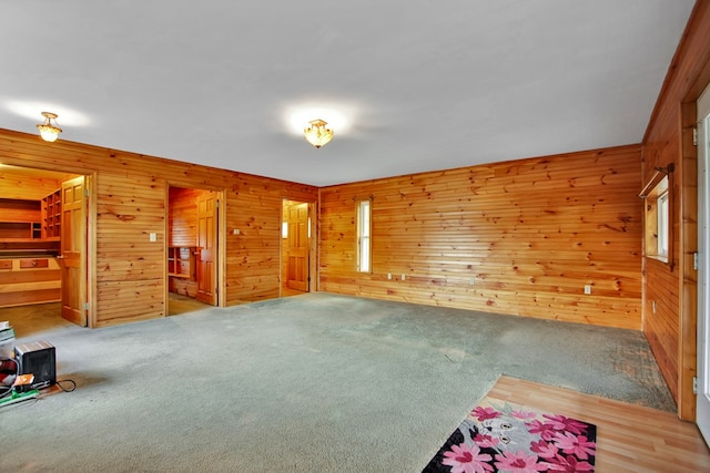 157 Shelmire Rd, Wellsboro, PA 16901 - unfurnished room with wooden walls and carpet