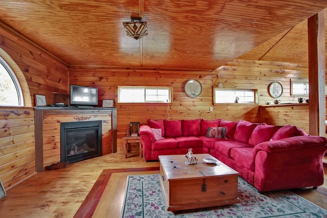 157 Shelmire Rd, Wellsboro, PA 16901 - living room featuring light wood-style flooring, wood walls, a glass covered fireplace, and plenty of natural light