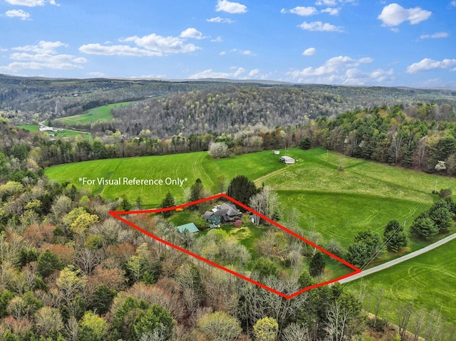 157 Shelmire Rd, Wellsboro, PA 16901 - bird's eye view featuring a wooded view and a rural view